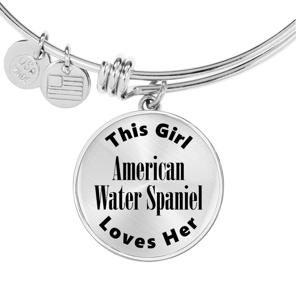 American Water Spaniel - Bangle Bracelet